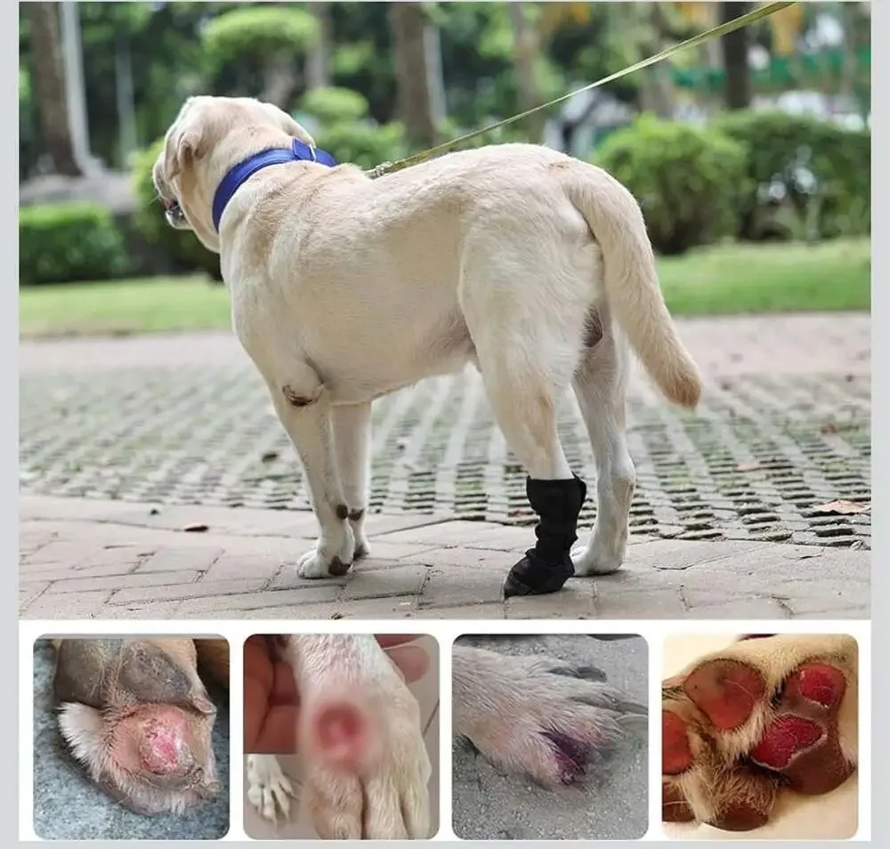 Ubxvamm Dog Paw Wound Recovery Boot - Breathable Anti-Lick Protector for Injured